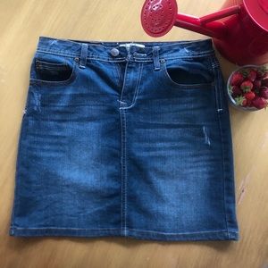 Earl Jean Denim Skirt